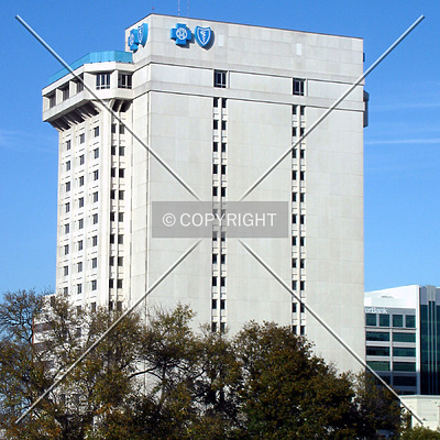 Blue Cross-Blue Shield Building by Royce Douglas