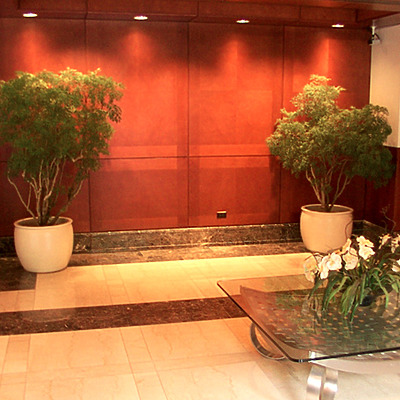 River View I by Daniel Kieckhefer