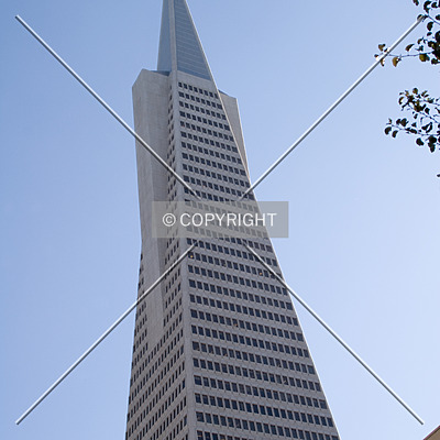 Transamerica Pyramid by Martin Bugajski