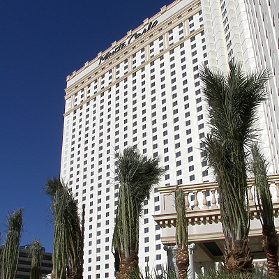 Monte Carlo Resort Hotel & Casino by Rodney Gunn