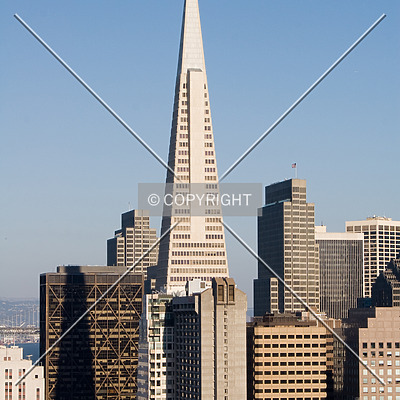 Transamerica Pyramid by Martin Bugajski