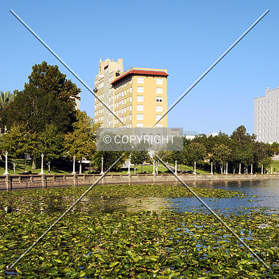 Mirror Lake Tower by Jorge Molina