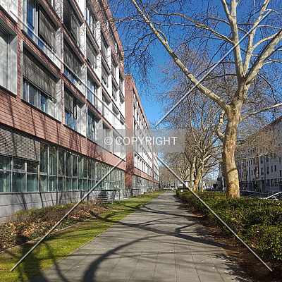 Allianz-Kai by Nephilim