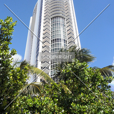 Trump Palace by Jorge Molina