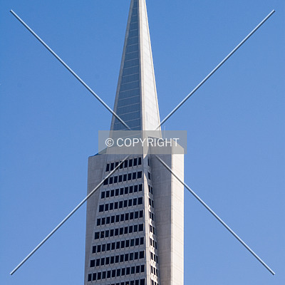 Transamerica Pyramid by Martin Bugajski