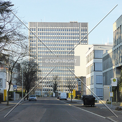 Hochhaus im Tulpenfeld by Nephilim