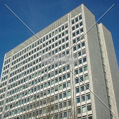 Hochhaus im Tulpenfeld by Nephilim