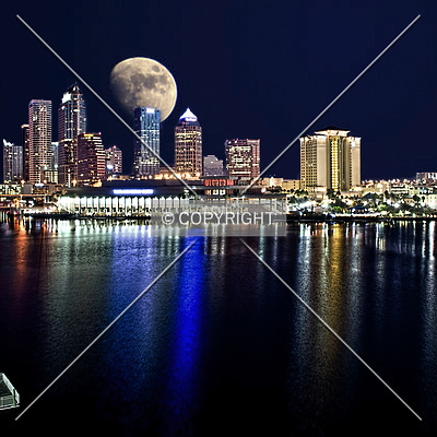 100 North Tampa by Jorge Molina