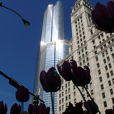 Trump International Hotel & Tower by B. Victor Adams