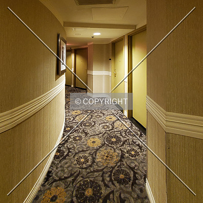 Wyndham Springfield City Centre by Ryan Hildebrand