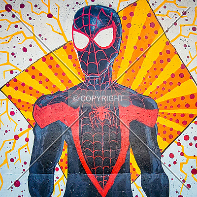 Saint Louis City Flood Wall (South Wall) by Ryan Hildebrand