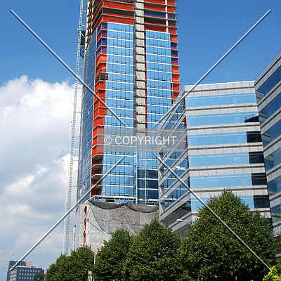 Trump Parc by Royce Douglas