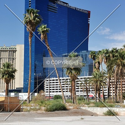 Elara by Hilton Grand Vacations by Nephilim