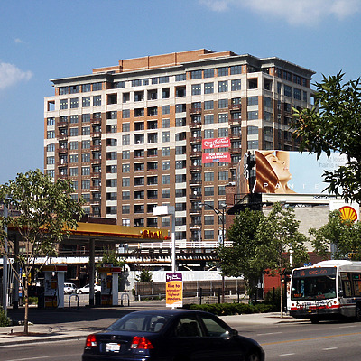 Parc Chestnut by Daniel Kieckhefer