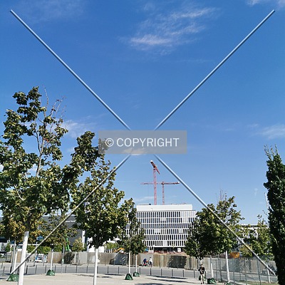 FAZ Tower by Nephilim