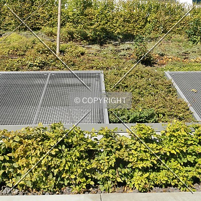 Praedium by Nephilim