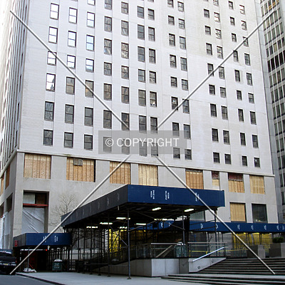 20 Pine by Royce Douglas