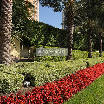 Acqualina Ocean Residences and Resort by Jorge Molina