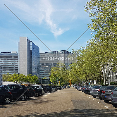 The Cube by Nephilim