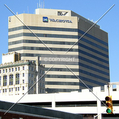 Palmetto Center by Chris Patriarca
