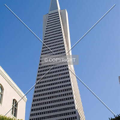 Transamerica Pyramid by Martin Bugajski