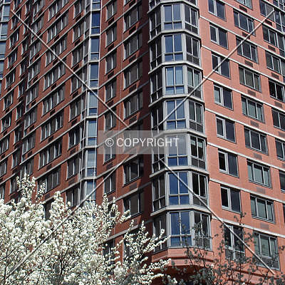 Tribeca Tower by Royce Douglas