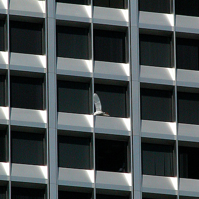 Ordway Building by Jim Schwartz