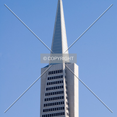 Transamerica Pyramid by Martin Bugajski
