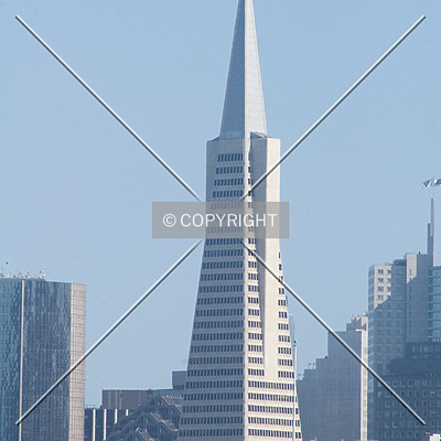Transamerica Pyramid by Martin Bugajski
