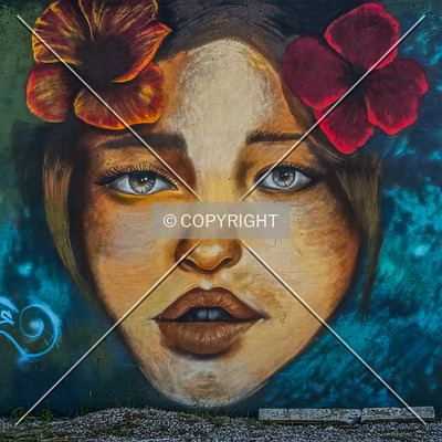 Saint Louis City Flood Wall (South Wall) by Ryan Hildebrand