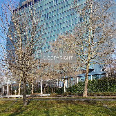 Radisson BLU by Nephilim