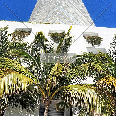 ICON at South Beach by Jorge Molina