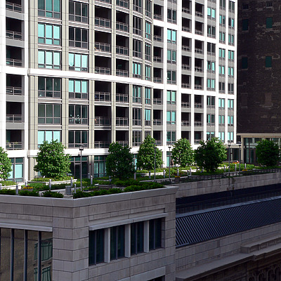 The Heritage at Millennium Park by B. Victor Adams