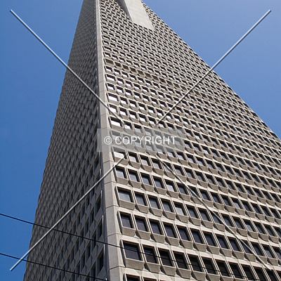 Transamerica Pyramid by Martin Bugajski