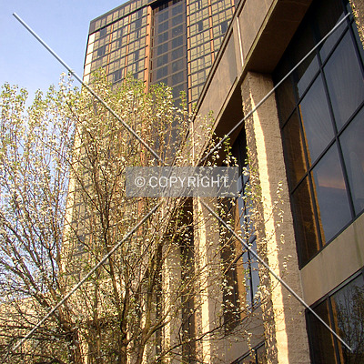 Renaissance Mobile Riverview Plaza Hotel by Chris Patriarca