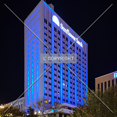 One San Jacinto Plaza by Ryan Hildebrand