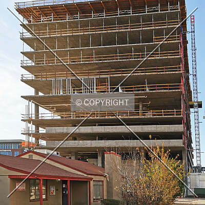 OLIV Tempe by Nephilim