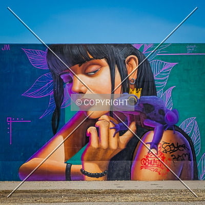 Saint Louis City Flood Wall (South Wall) by Ryan Hildebrand