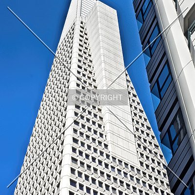 Transamerica Pyramid by Jorge Molina