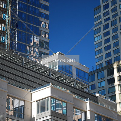 The Rushmore by Royce Douglas