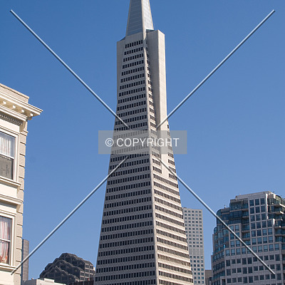 Transamerica Pyramid by Martin Bugajski