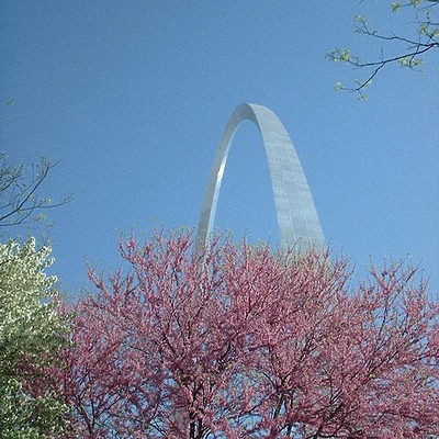 Gateway Arch by James Peacock