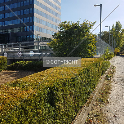 Access Tower by Nephilim