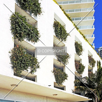 ICON at South Beach by Jorge Molina