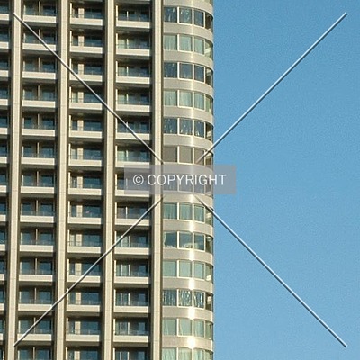 Right Wing by Andrew Stewart