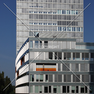 Cielo by Emmanuel D.