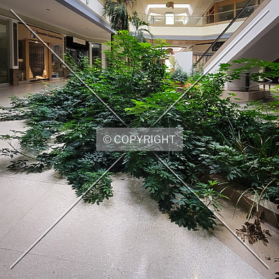 Chesterfield Mall by Ryan Hildebrand