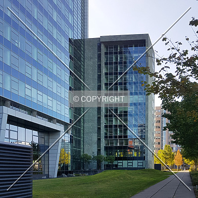 Herriot´s by Nephilim