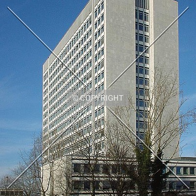Hochhaus im Tulpenfeld by Nephilim