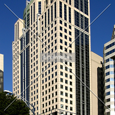 121 West Trade by Chris Patriarca